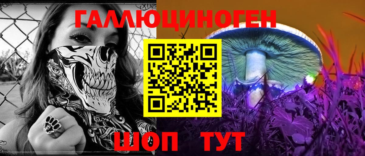 Карабулак  Галлюциногенные грибы Psilocybe  Вход с VPN 